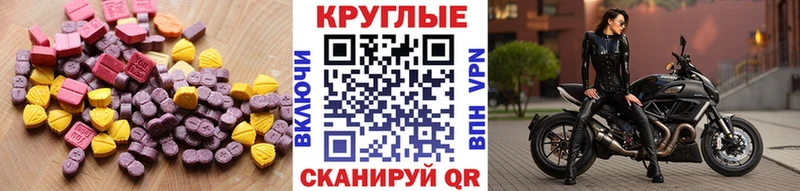 закладка  Судак  Экстази бентли 