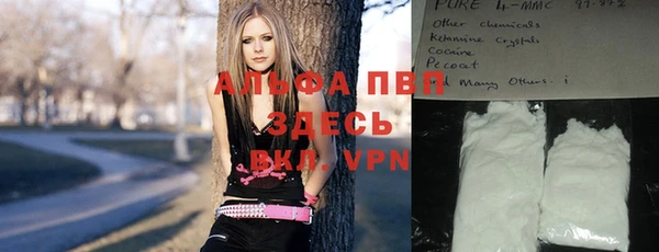 стафф Армянск