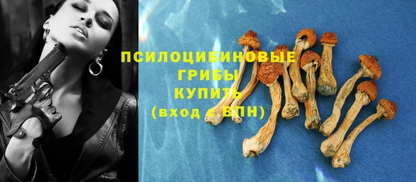 apvp Нефтегорск